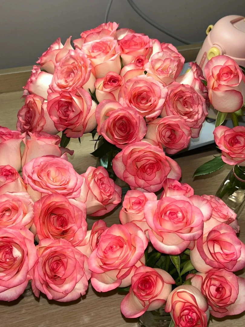 520婵之语优选   20枝艾莎单头玫瑰鲜切花