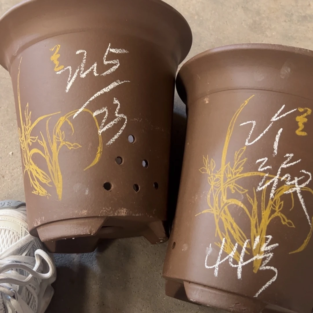 44………………………………………………