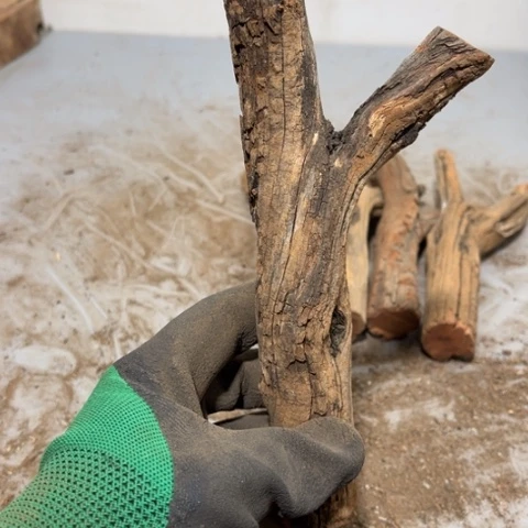 大果紫檀（缅甸花梨）曾***诺