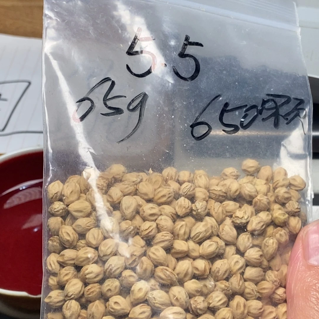 柏香籽/百香籽吊坠