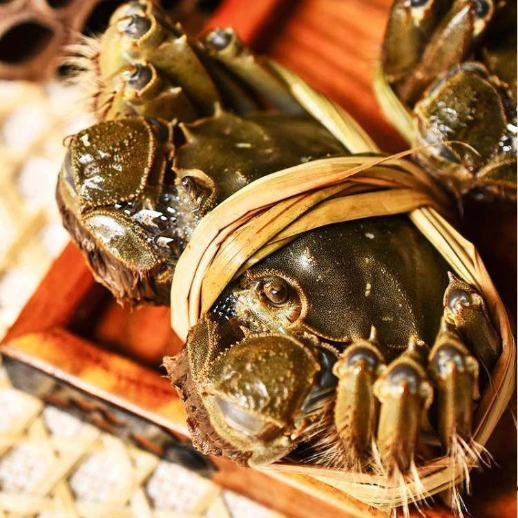 【活蟹现发】4.1-3.8两全公蟹江苏挑膏大闸蟹6只8只10只礼盒装 顺丰京东冷链送货上门