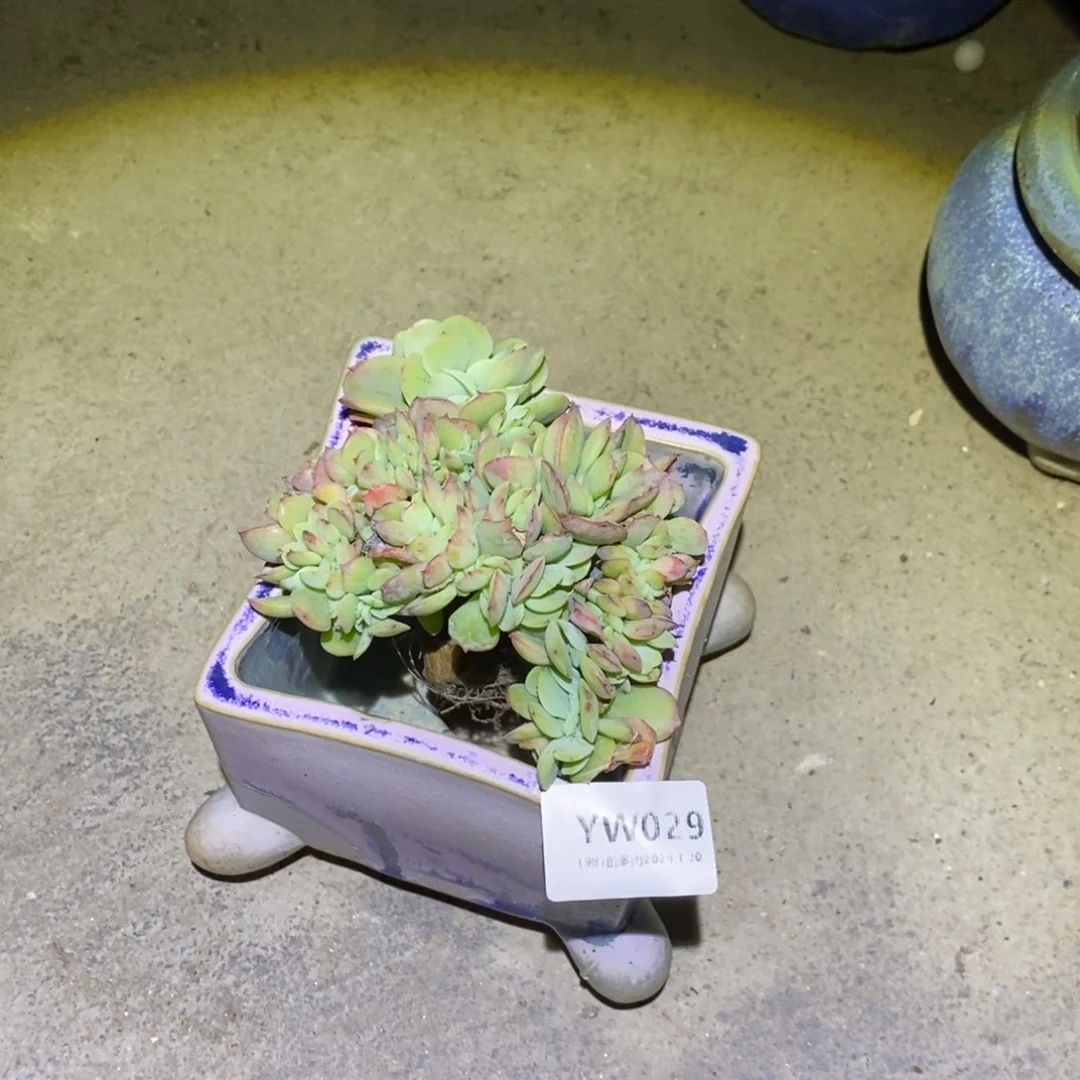 粗砂花盆小****YW029已配已配