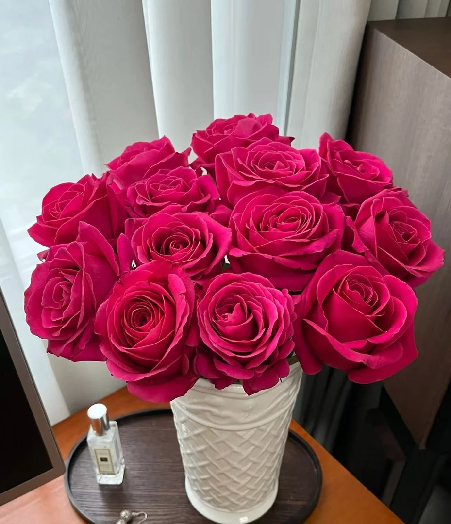 单玫-弗洛伊德云南鲜花 任意两单包邮 生鲜产品拒收不售后