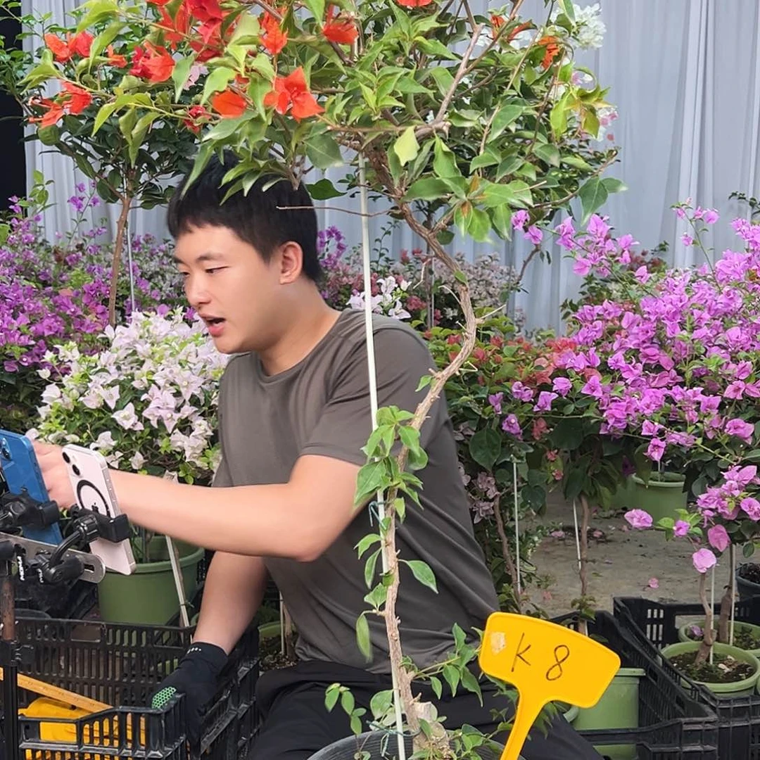 合***树完全开放K8热火桑巴