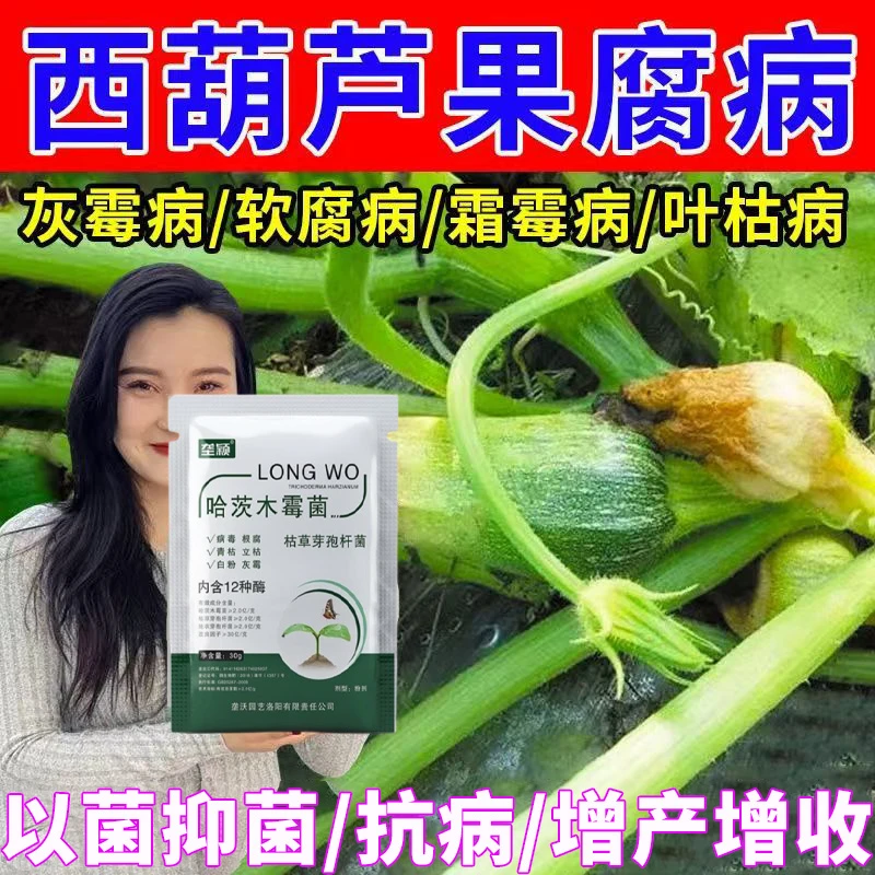 西葫芦果腐病病菌清除菌剂西葫芦病毒病专用肥拉绿拉长拉直水溶肥