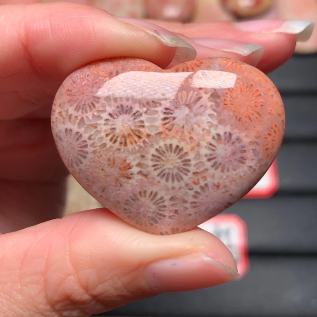 【闪购商品】硅化玉颈饰未镶嵌阿*丁