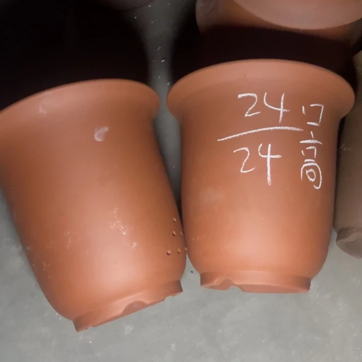 周三周四这是事实