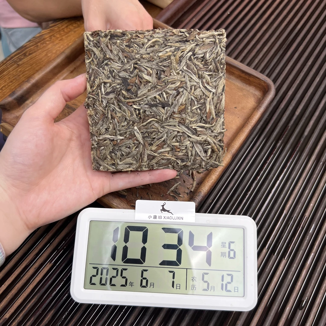 2014年份老银针 小鹿收茶 砖茶 福鼎白茶 6月7