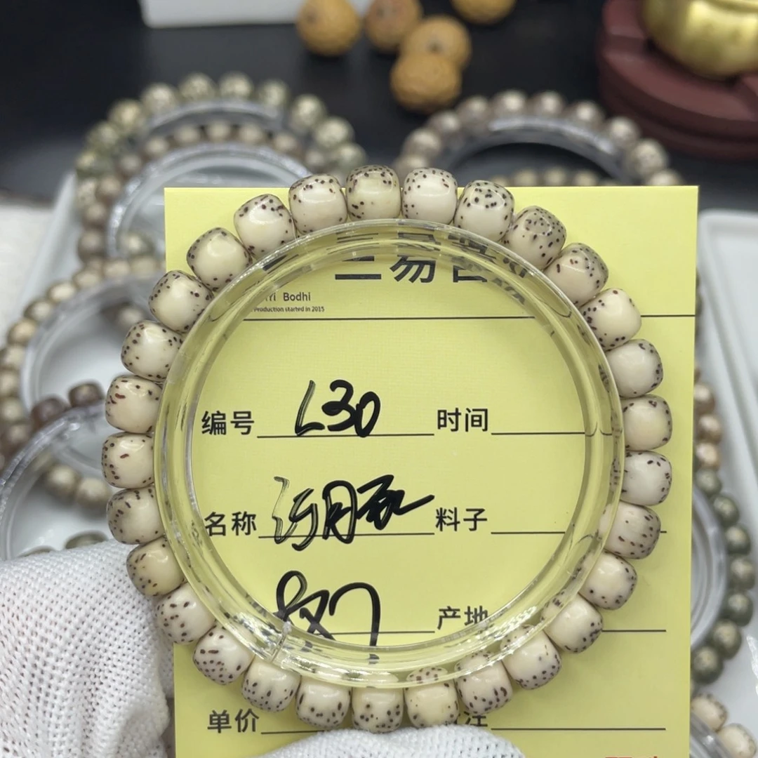 菩提籽类L糯河豚，