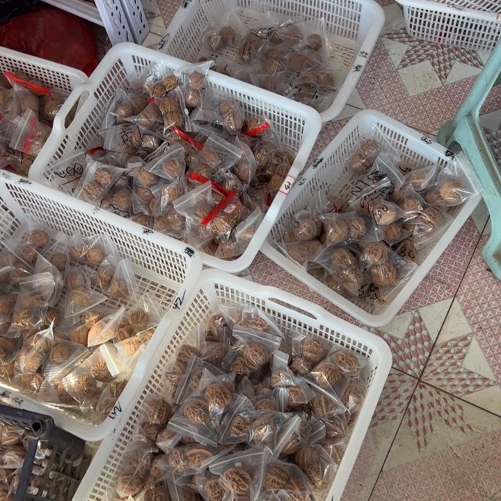 文玩核桃吊坠19.9新手大礼包