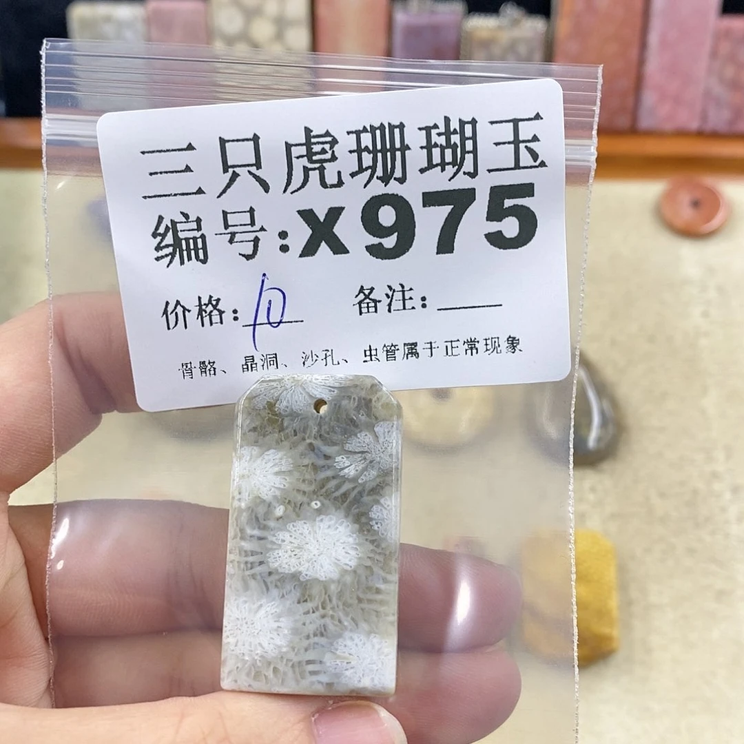 硅化珊瑚（珊瑚玉）1未镶嵌*️**