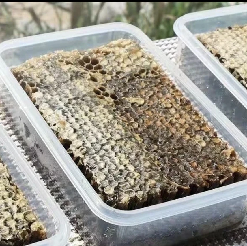 老巢蜜 2~3年自然成熟蜂蜜 富含蜂花粉 蜂胶 蜂蜡 蜂王浆 蜂茧衣