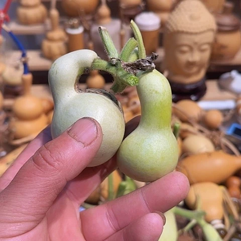 木宁***有1111111111