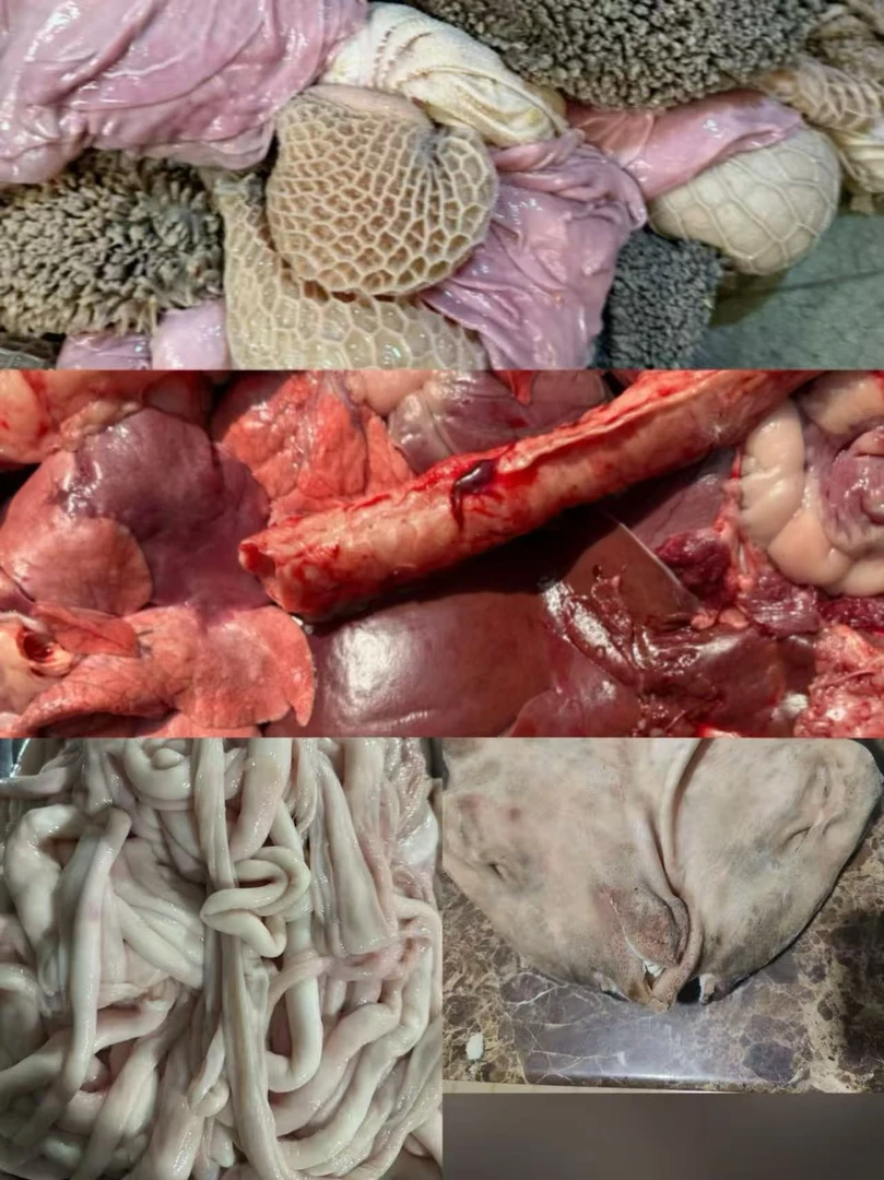 羊肚+心肝肺（清真食品）