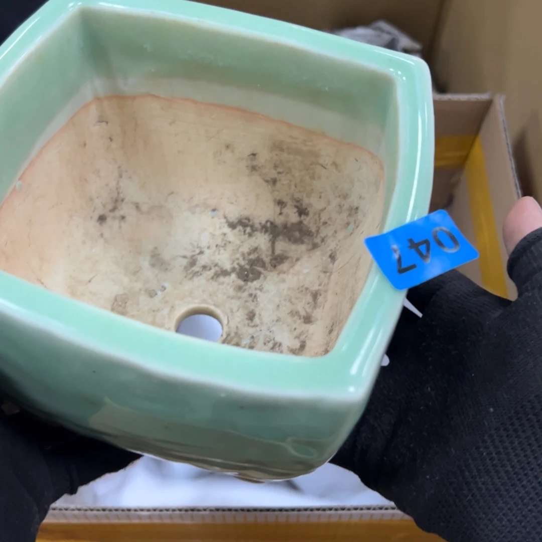 碗༺**༻哈哈哈哈哈哈哈哈哈哈哈