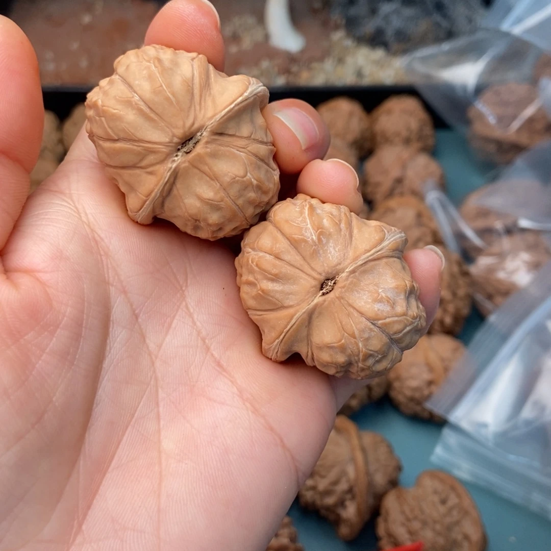 文玩核桃吊坠龟甲纹2