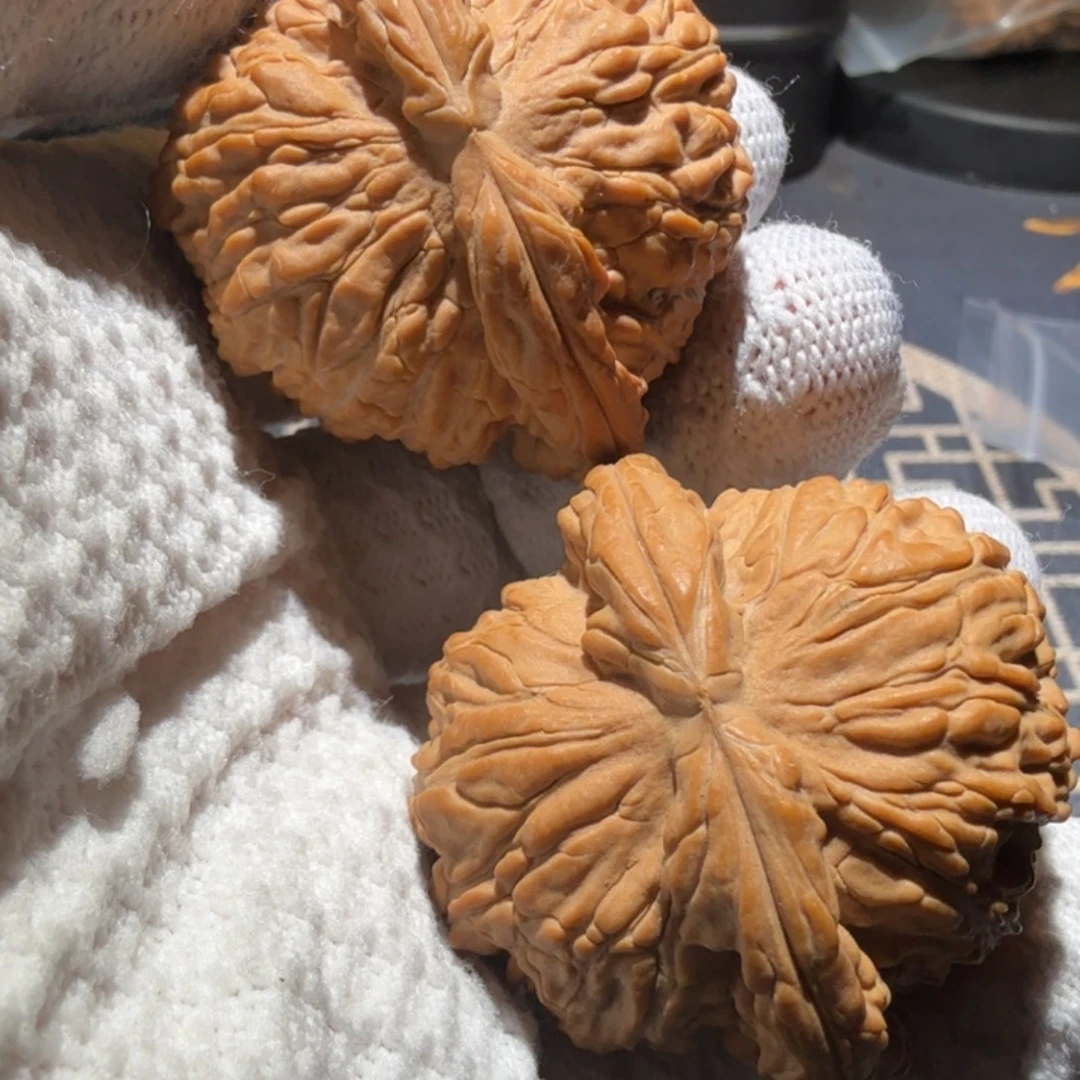 请***秀文玩核桃把件白狮子