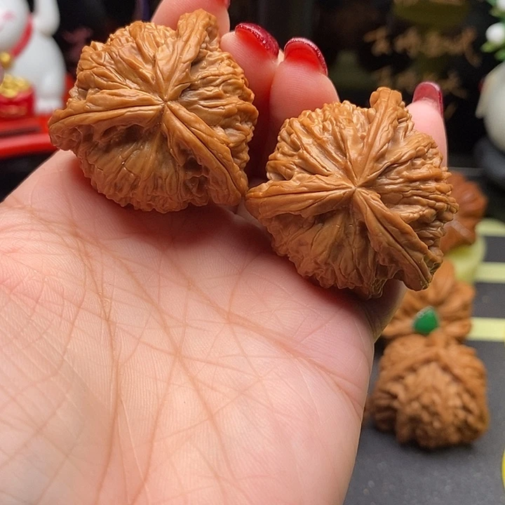 核桃38拼接白狮子