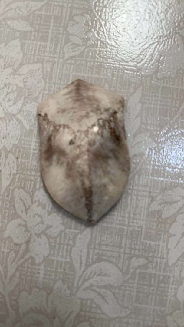 1001特色手工艺高级花梨木