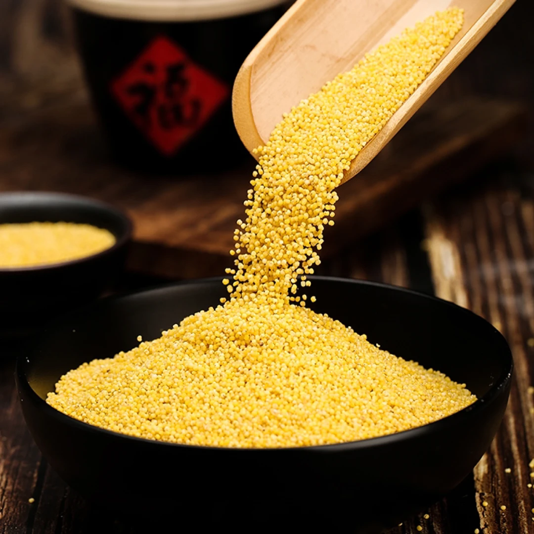 2025新米 山西特产农家自种黄小米健康食用营养2500g