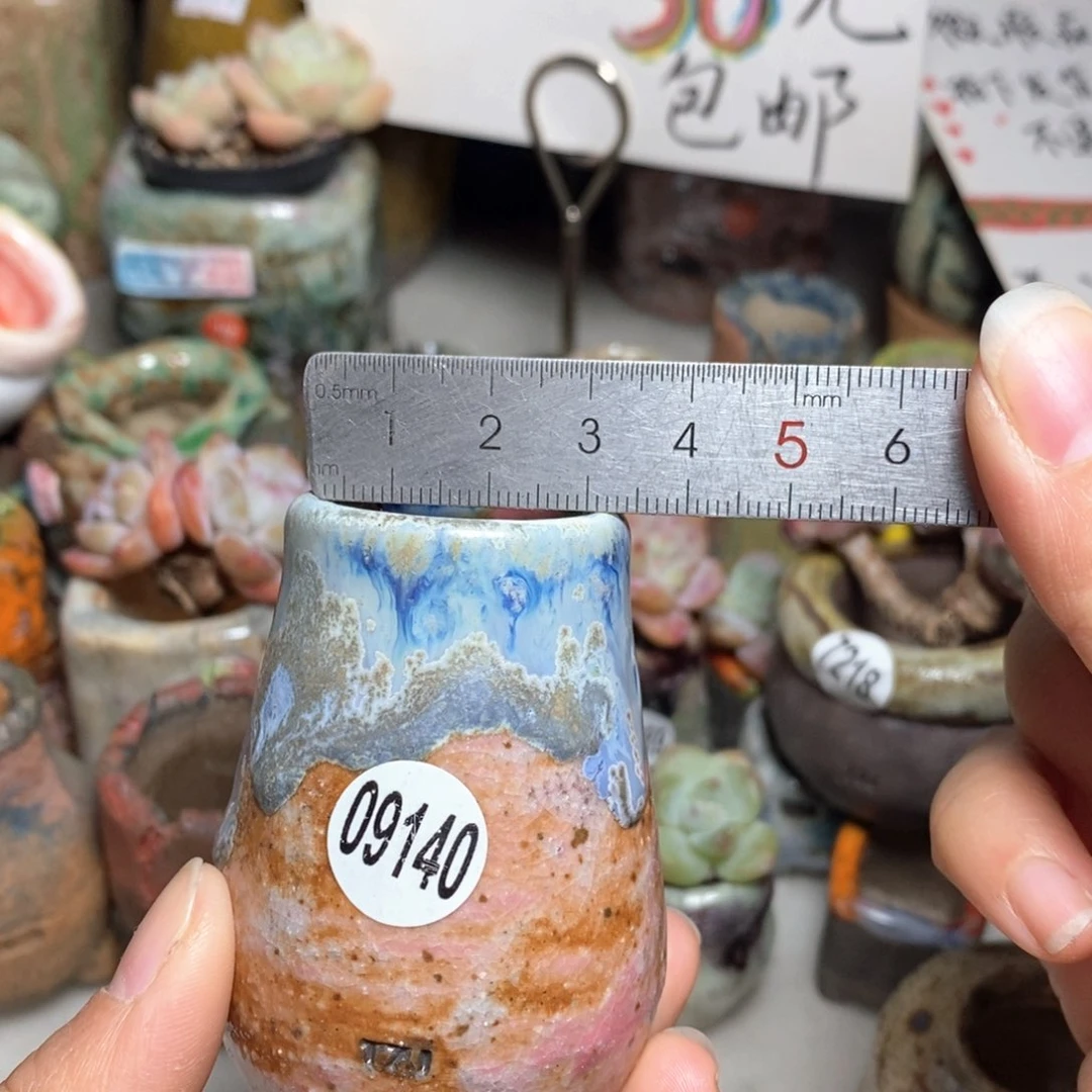 花盆拍5送一个小礼物