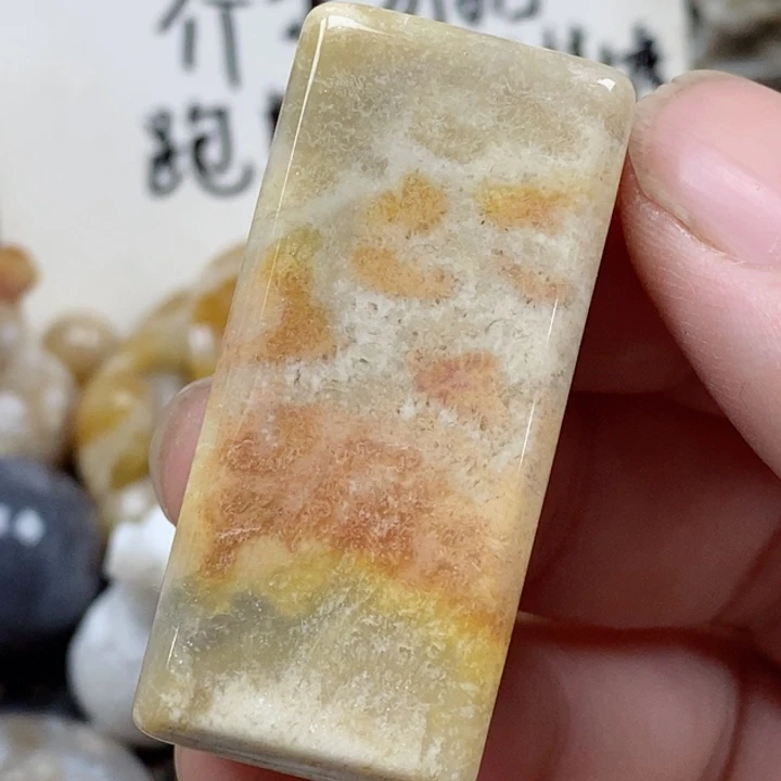 颈饰未镶嵌硅化珊瑚（珊瑚玉）