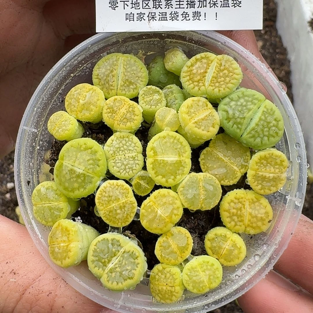 2765 哈哈哈哈哈哈哈哈哈哈哈