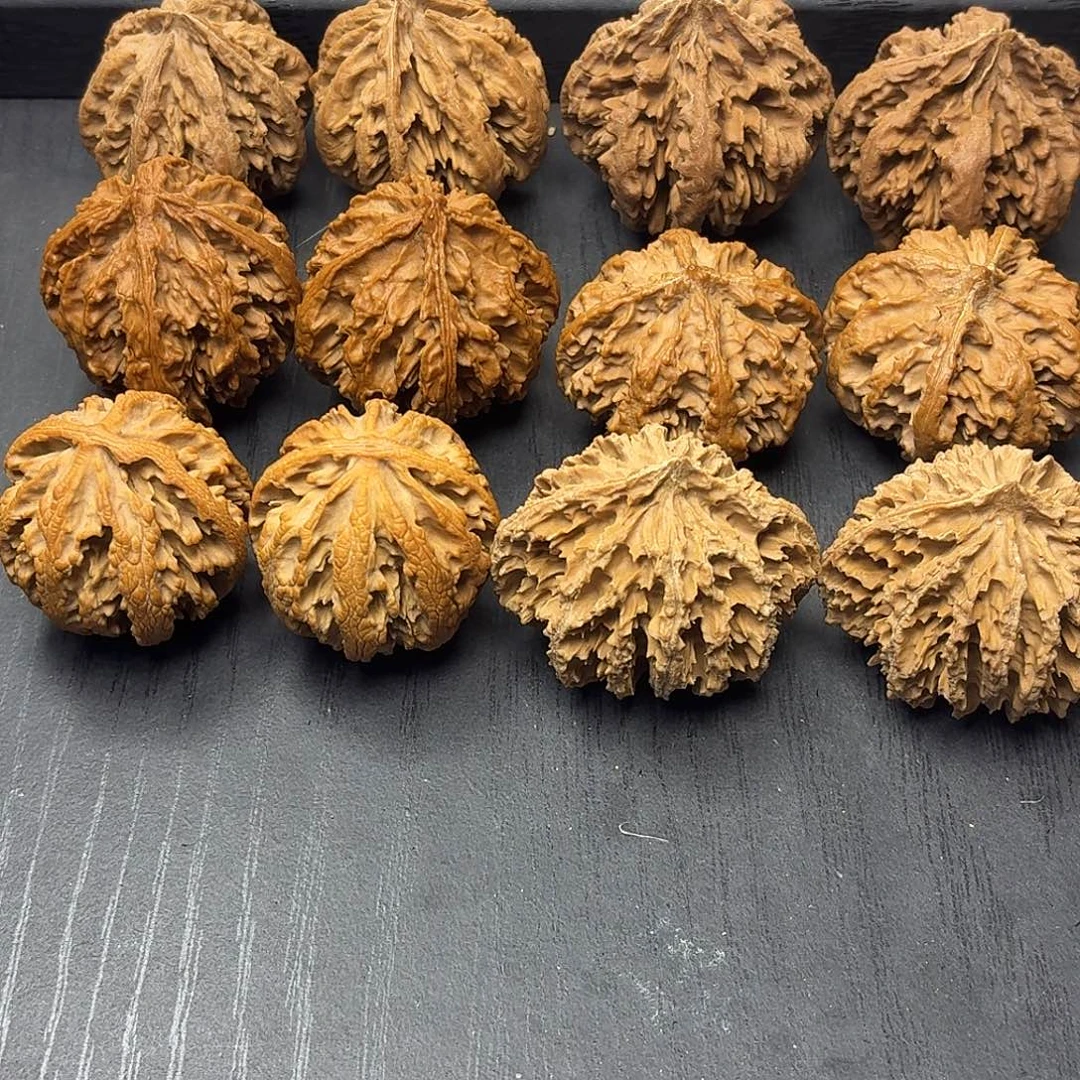 桃木突突突突突突突