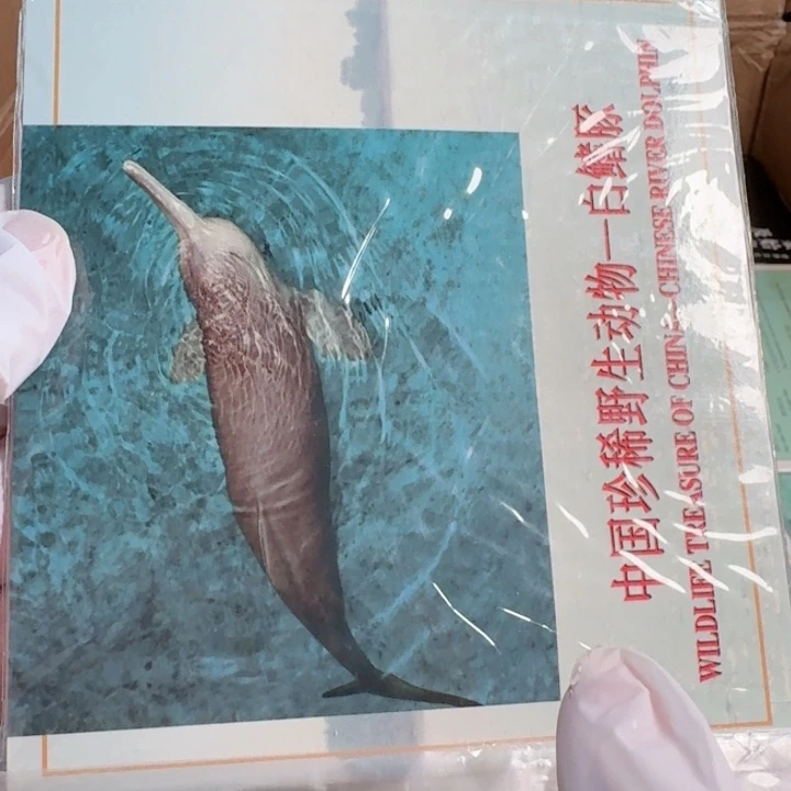 其他普通金属白鳍豚卡册