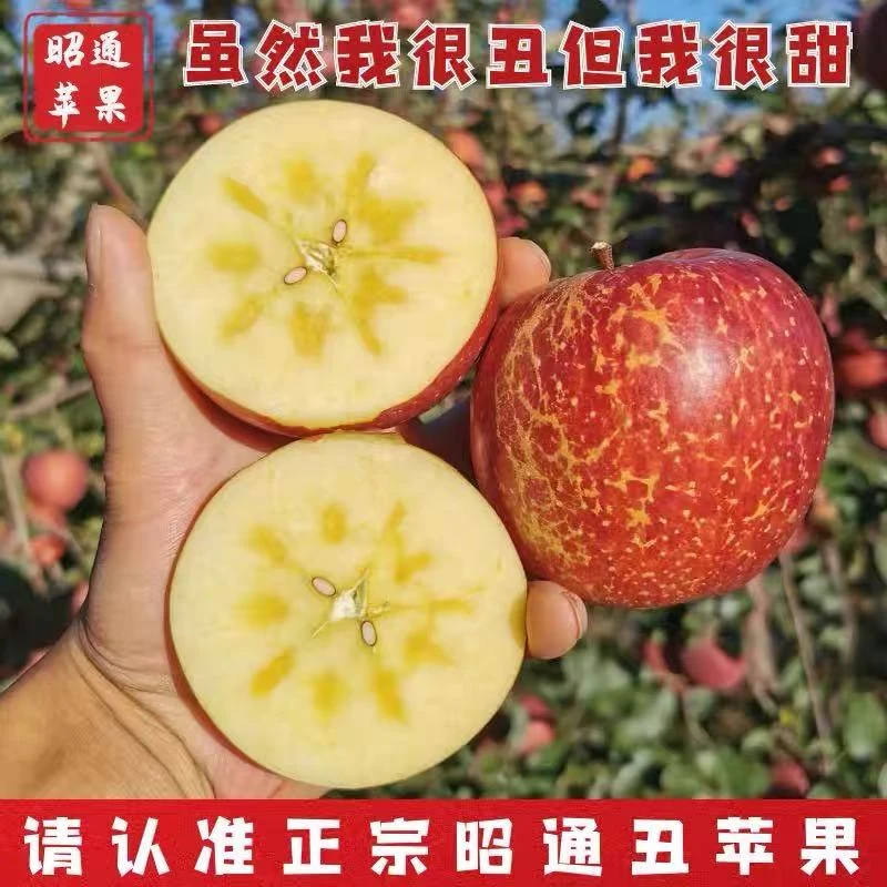 【礼盒专链】正宗云南昭通冰糖心丑苹果新鲜采摘脆甜多汁