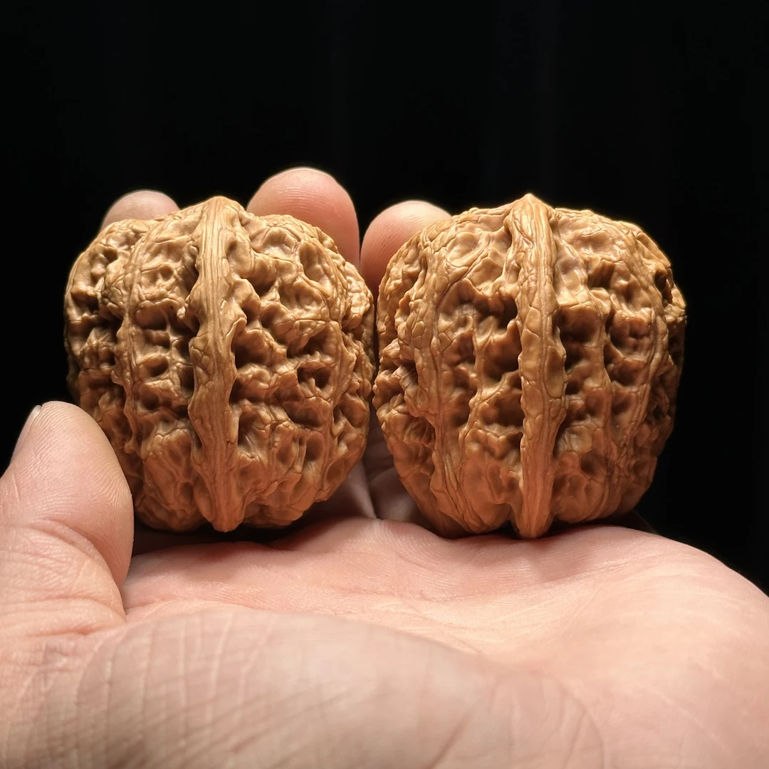 将军膀 款式可选