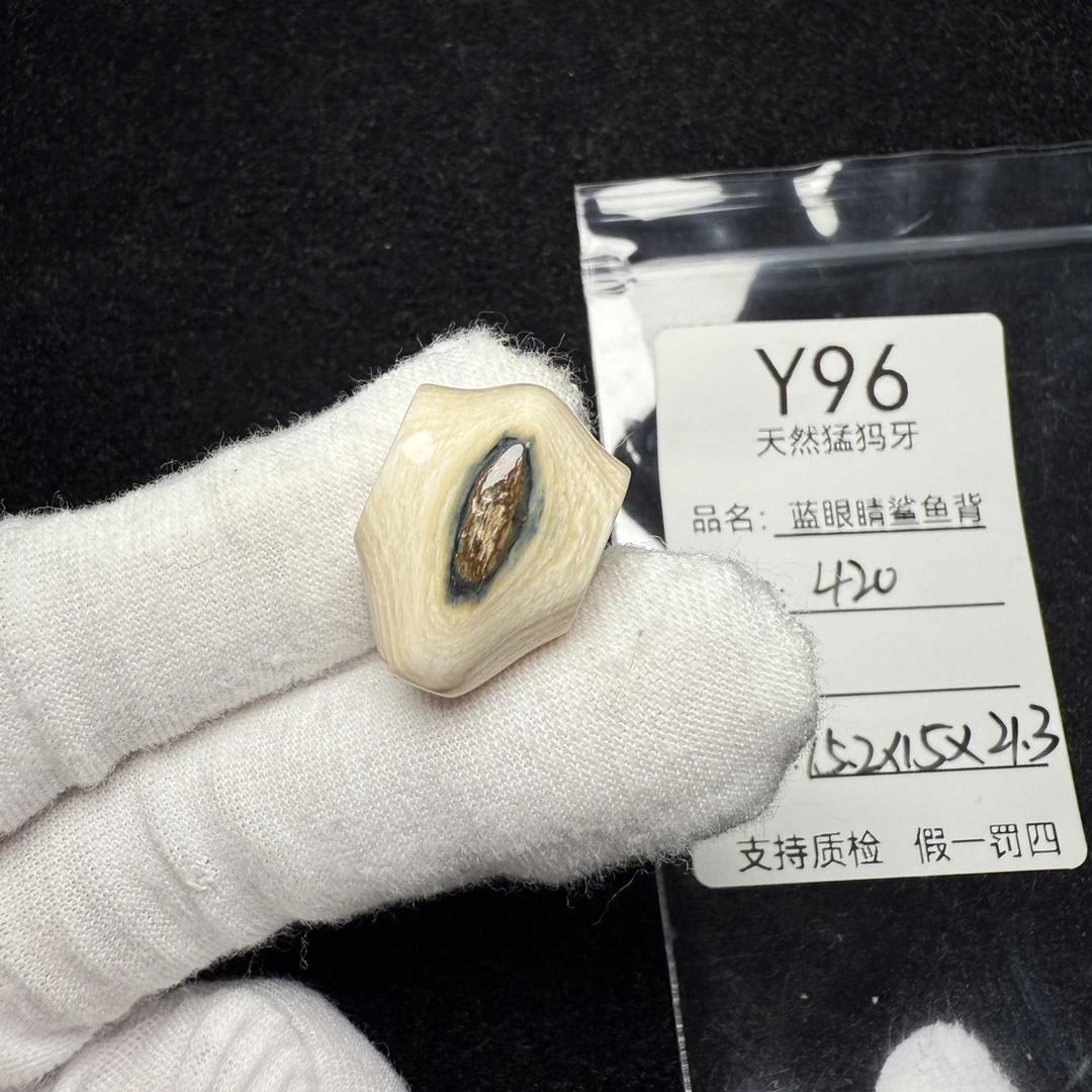 Y96天然猛犸象牙蓝眼蓝皮鲨鱼背蓝眼睛三通冰料15.2*15*21.3mm