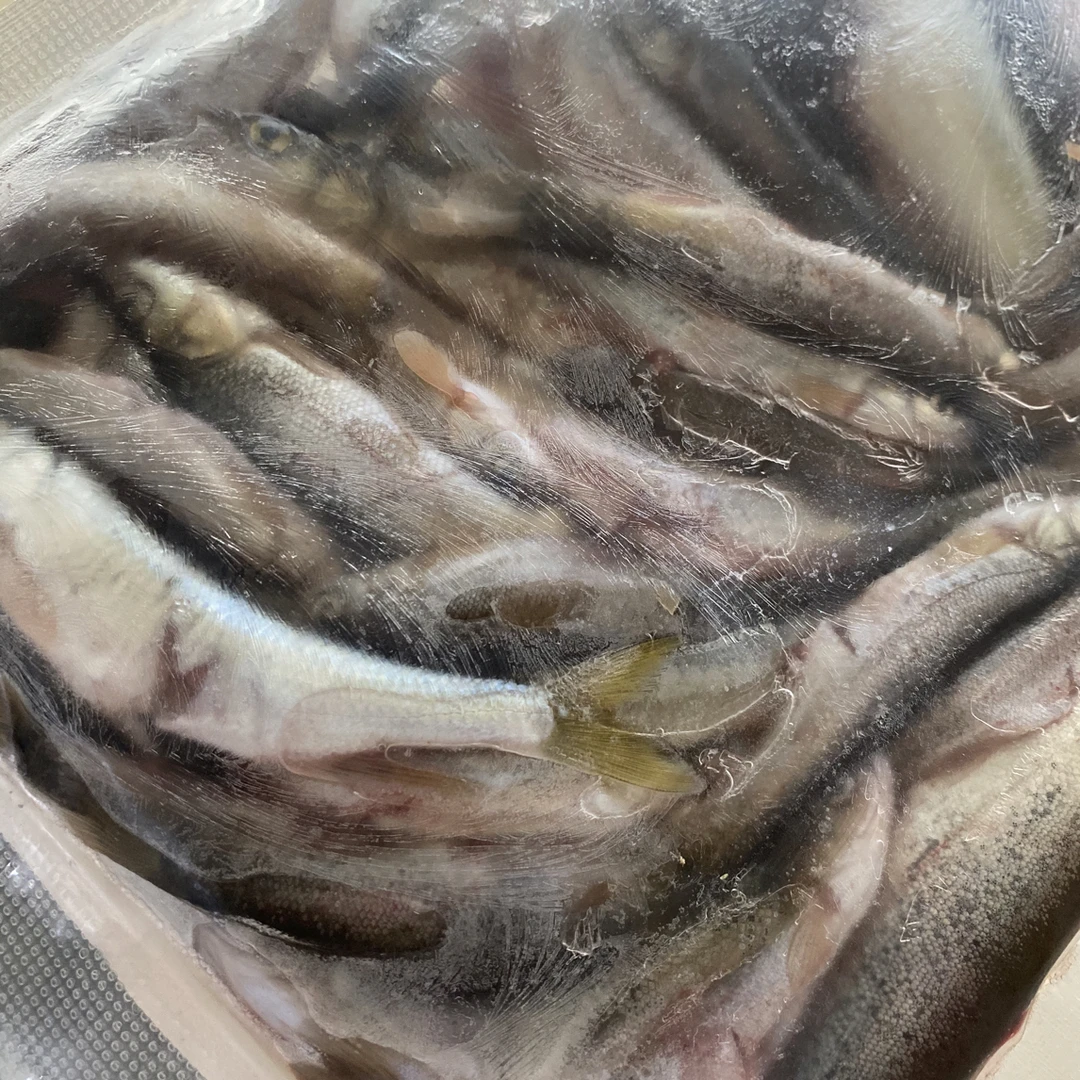 鸭绿江冷水杂鱼 柳根 白票子 老头鱼 泥鳅等杂鱼鲜活速冻发货包邮