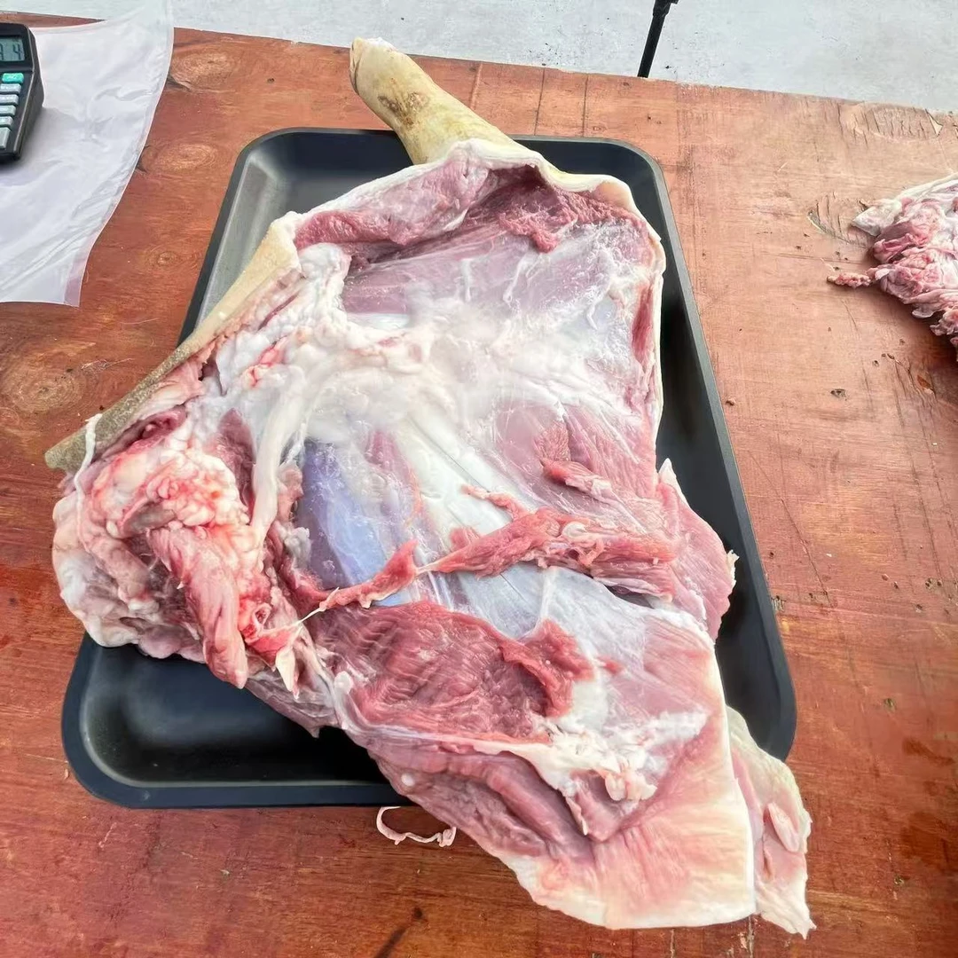 大凉山放养3年以上土山羊 新鲜羊肉（羊前腿）2斤