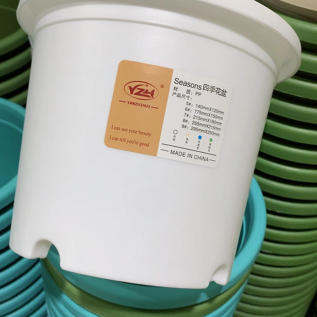 四季口17白5个无托