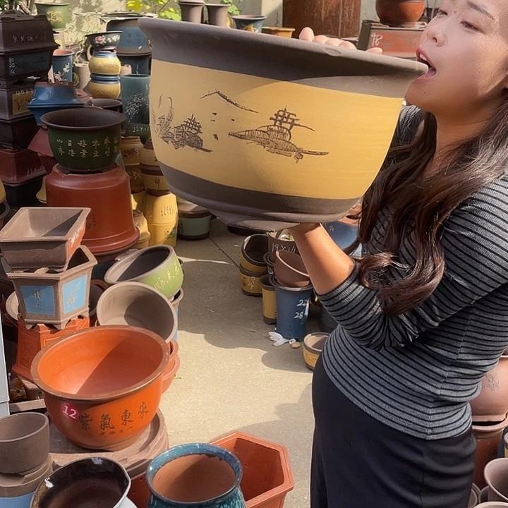 002花盆紫砂花盆紫砂花盆紫砂花盆