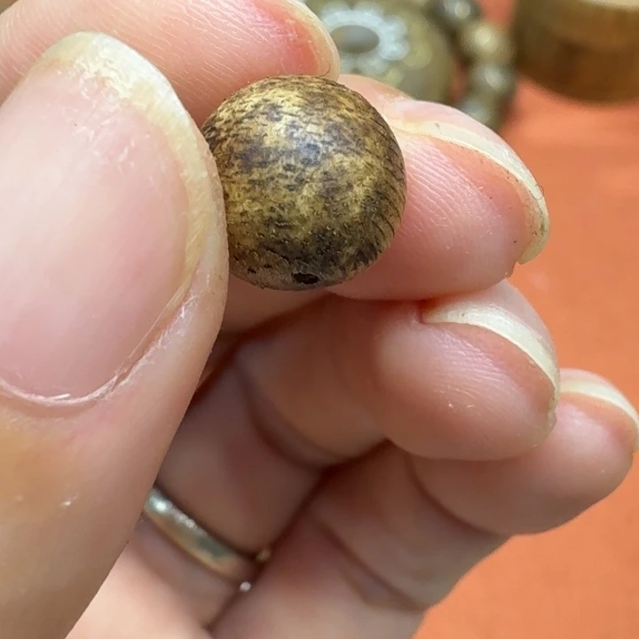 大叶紫檀（黑酸枝木类）