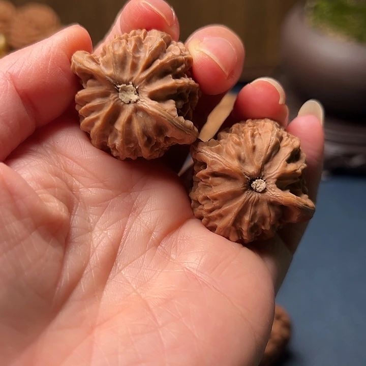 别***闹木桃和红果两大特