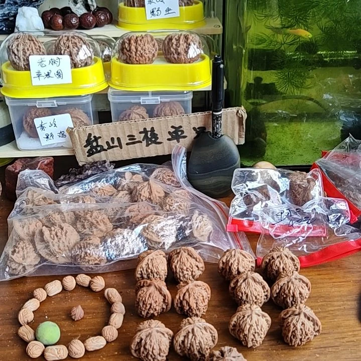 睿***驰六对33尺全品小楼子穿串