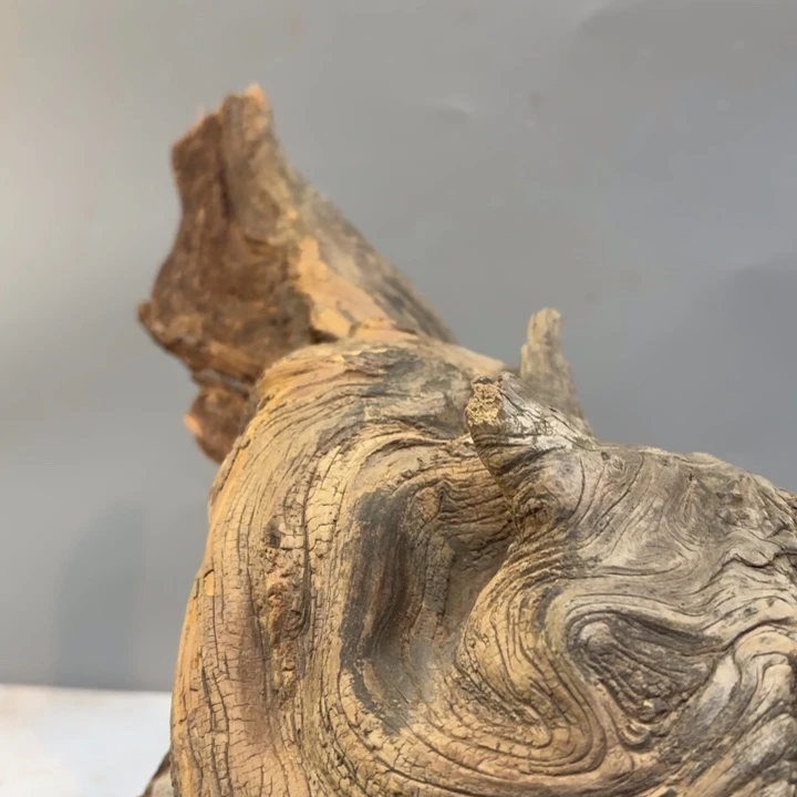 碧***月崖柏菩萨云纹理坨坨