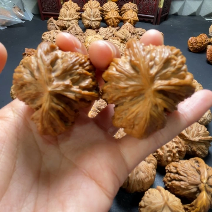 白狮子两棱挂角42尺寸核桃哈哈哈哈哈哈哈哈哈哈