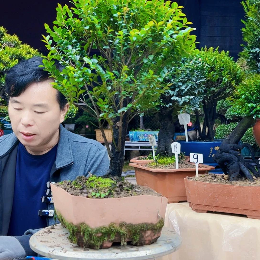 以实际为准贺*贺，12345678