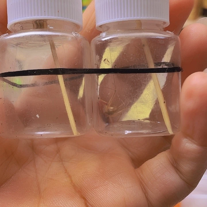 H***H红竹2啊啊啊啊啊啊