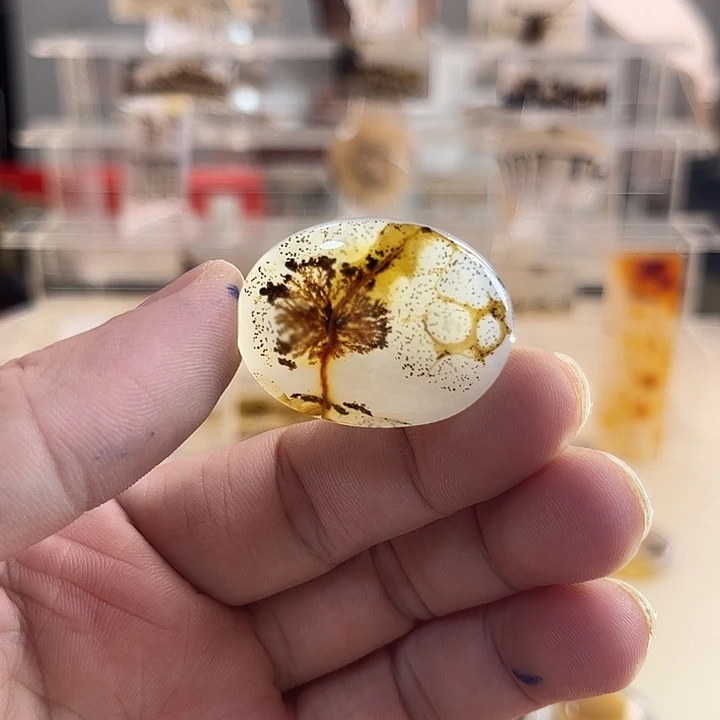 未镶嵌吊坠(不含链)玛瑙/玉髓
