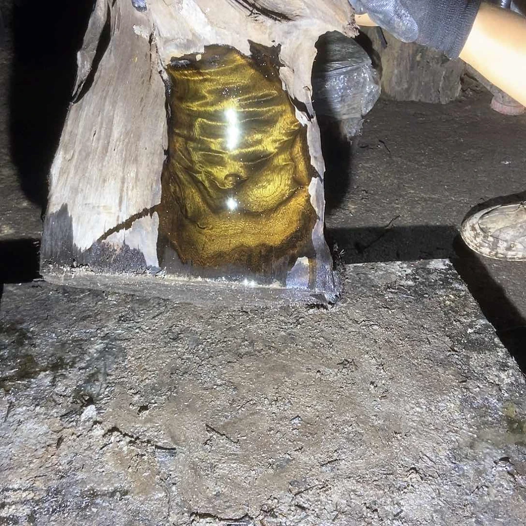 @***李金丝楠阴沉木毛料