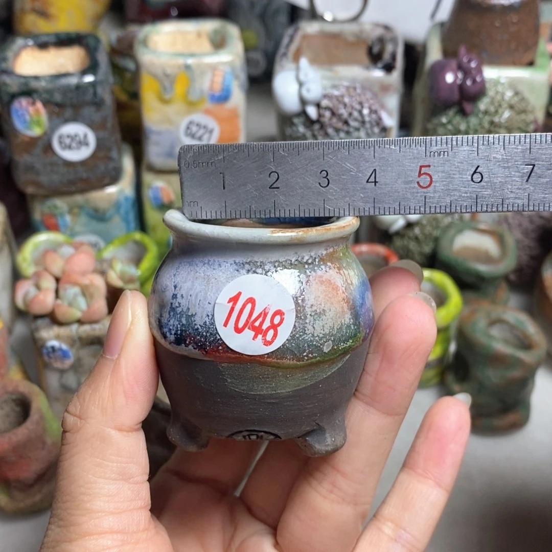 拍5送一个小礼物