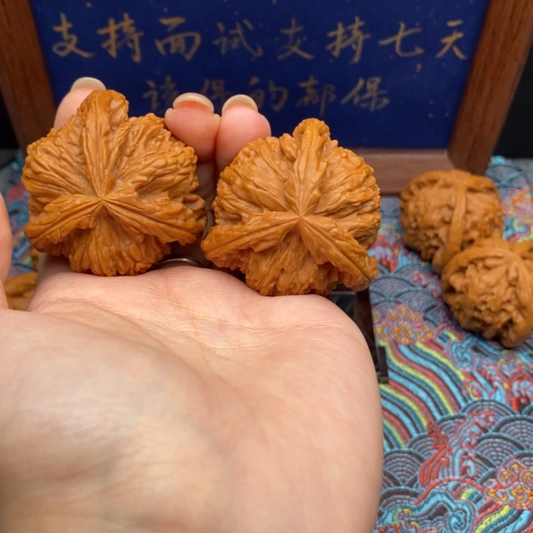【闪购商品】尼**坏白狮
