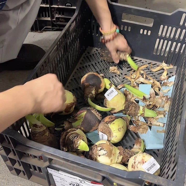 马戏团餐次球不包售后