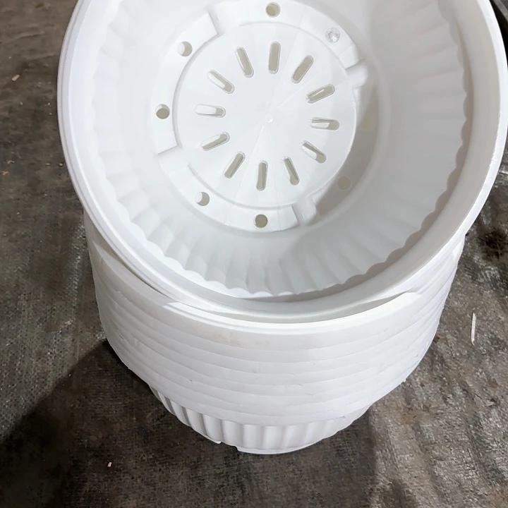 23公分白色聚宝盆6个