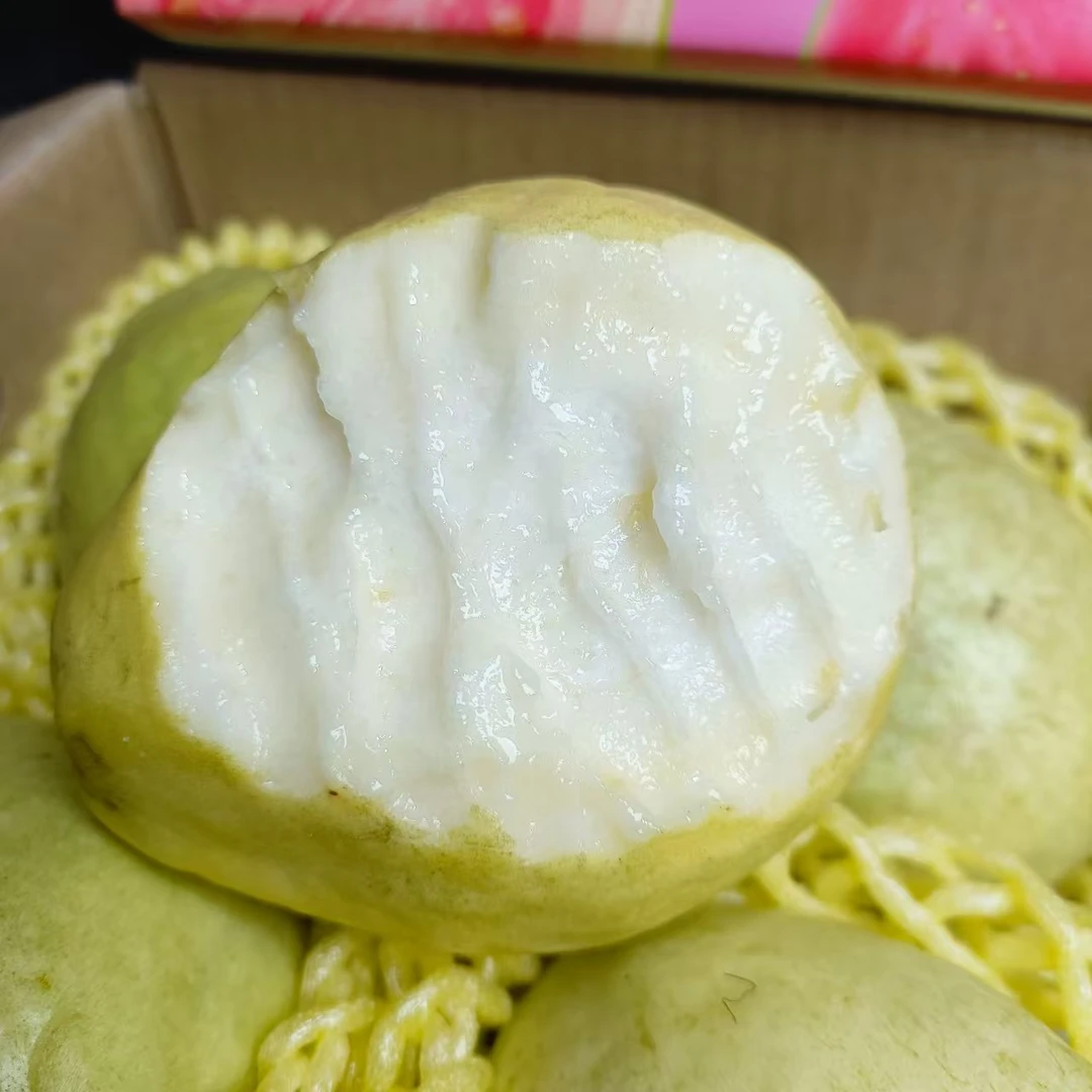 哈森黄金芭乐芭乐水果冰淇淋口感番石榴礼盒(放至微软食用)